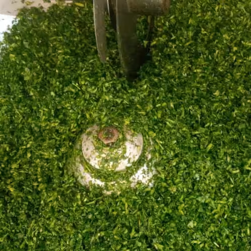 سبزی قرمه سبزی