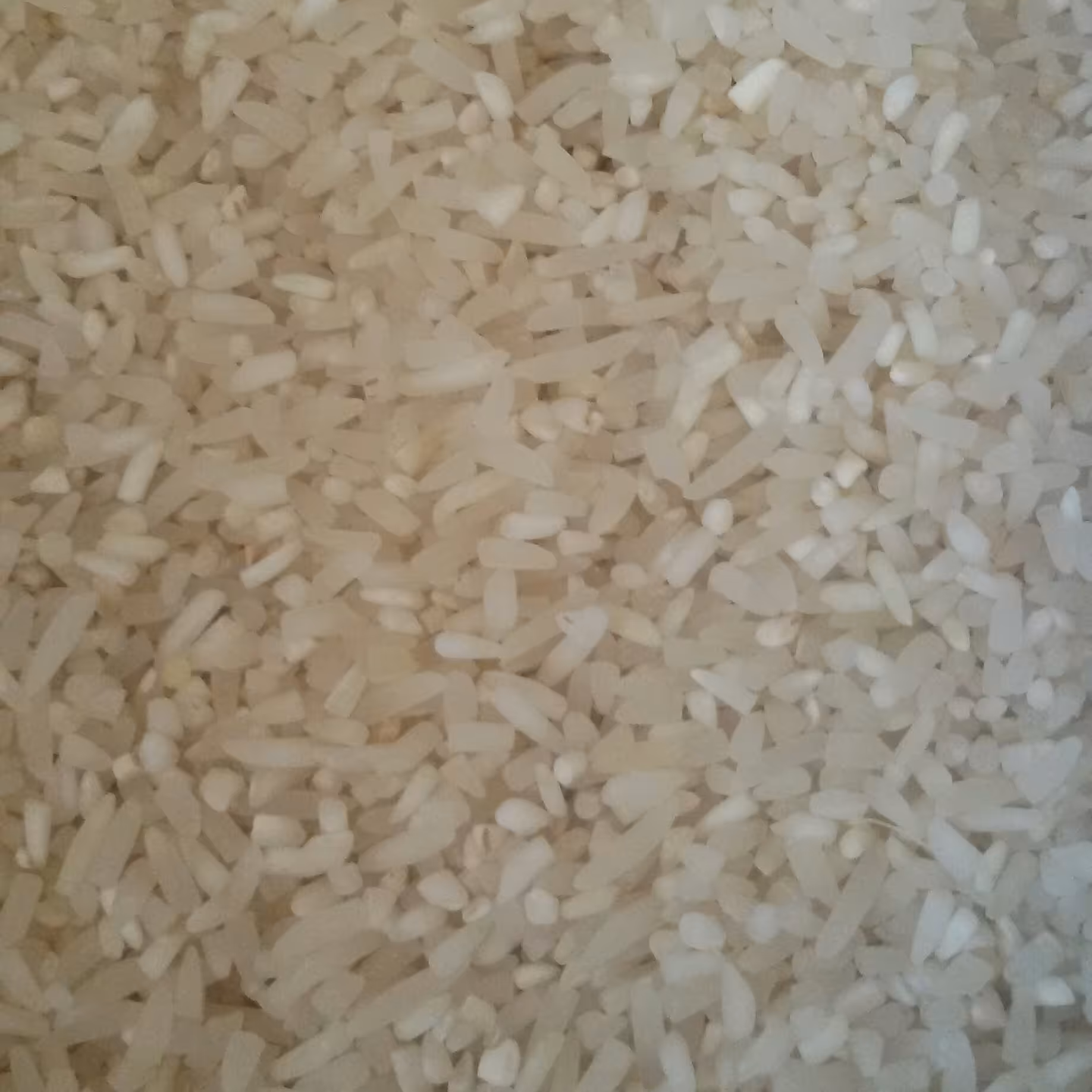 نیمدانه هاشمی اعلا معطر