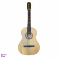 گیتار پارسی مدل p40 f