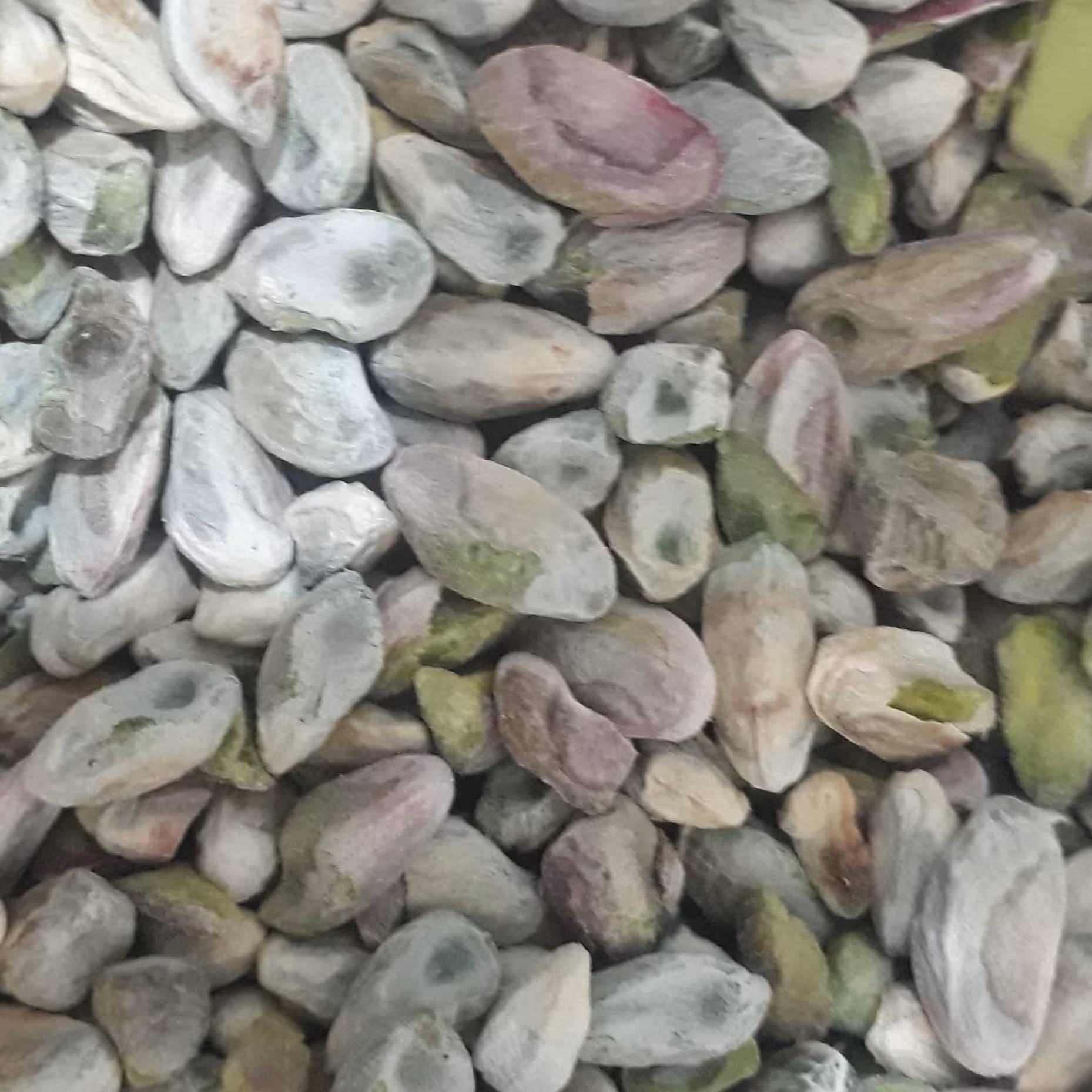 مغز پسته کالک