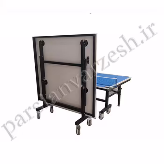 میز پینگ پنگ T114