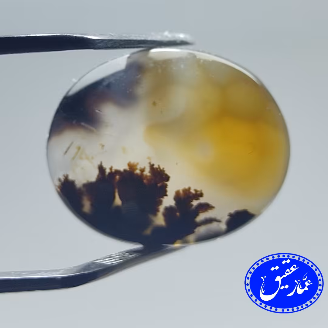 نگین عقیق شجر منظره بوته و خورشید زرد