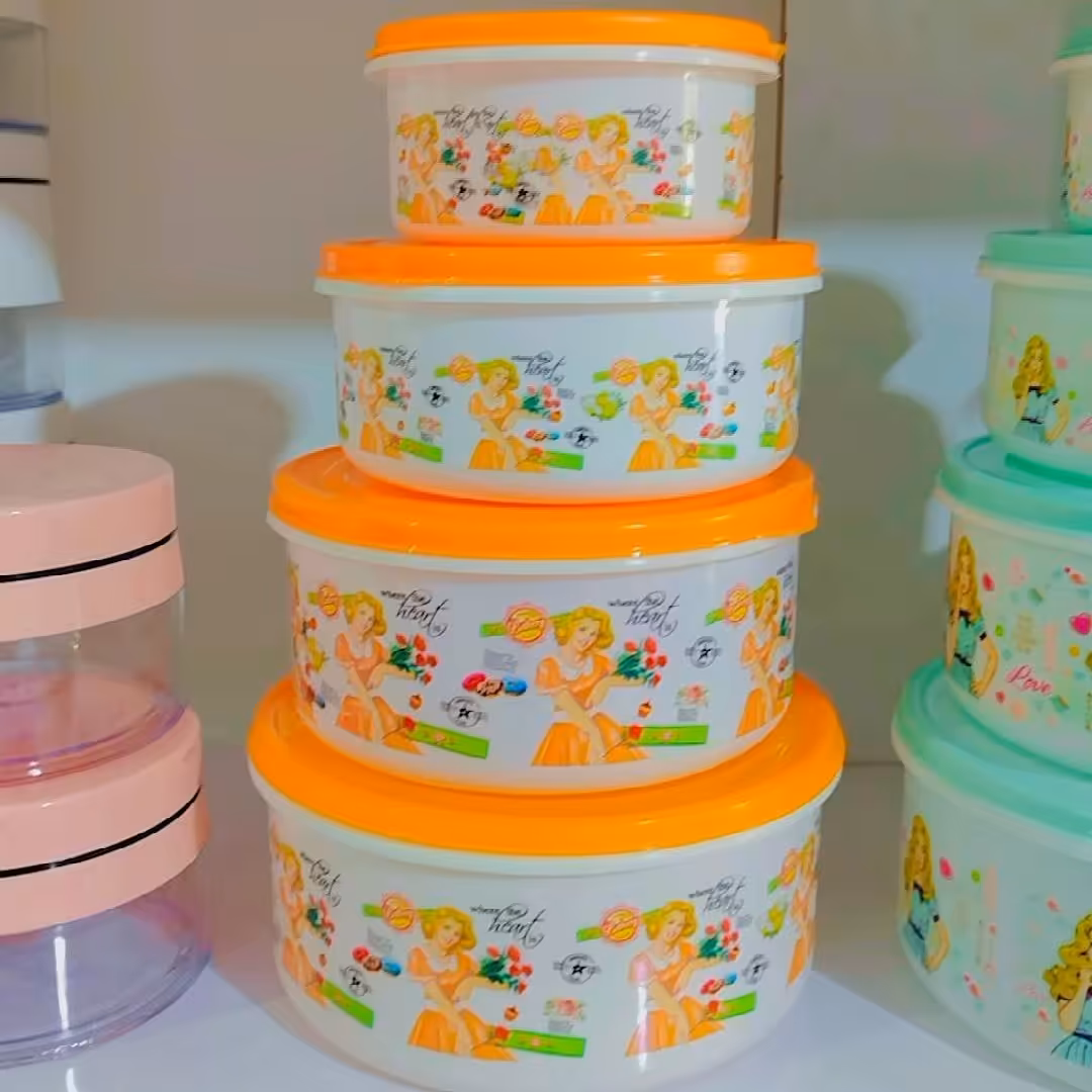 ظرف فریزری چهار عددی در دورنگ (دایره)