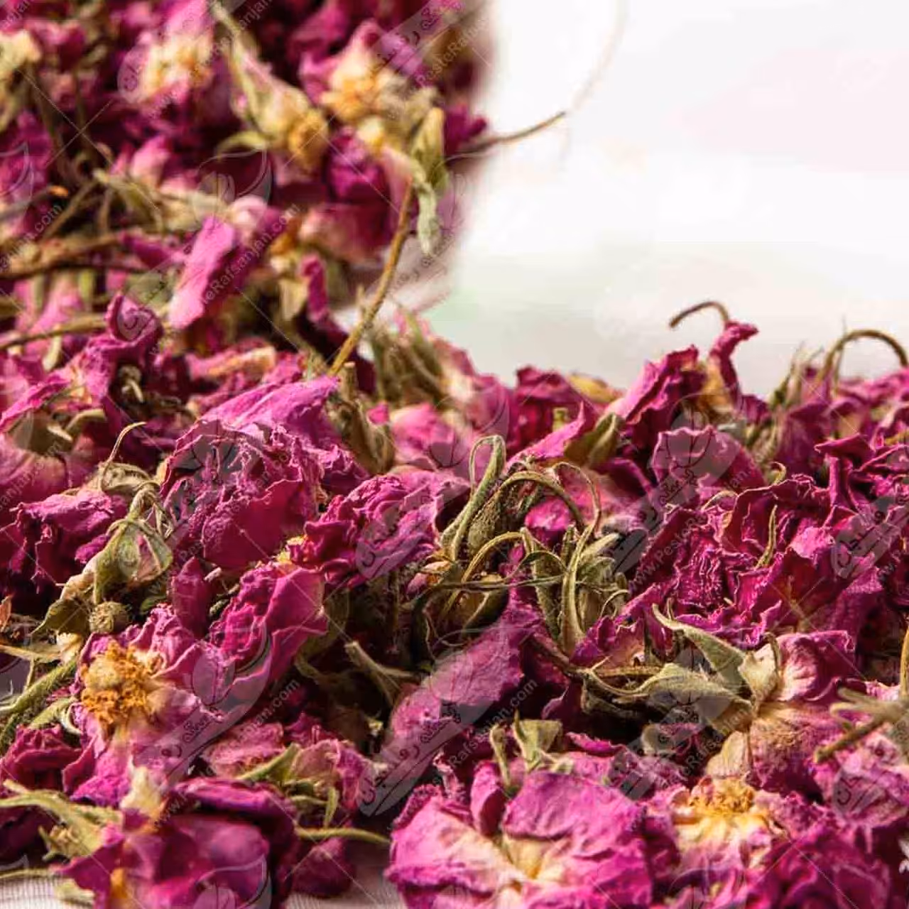 گل محمدی خشک شده کوهستان استان یزد 500 گرمی