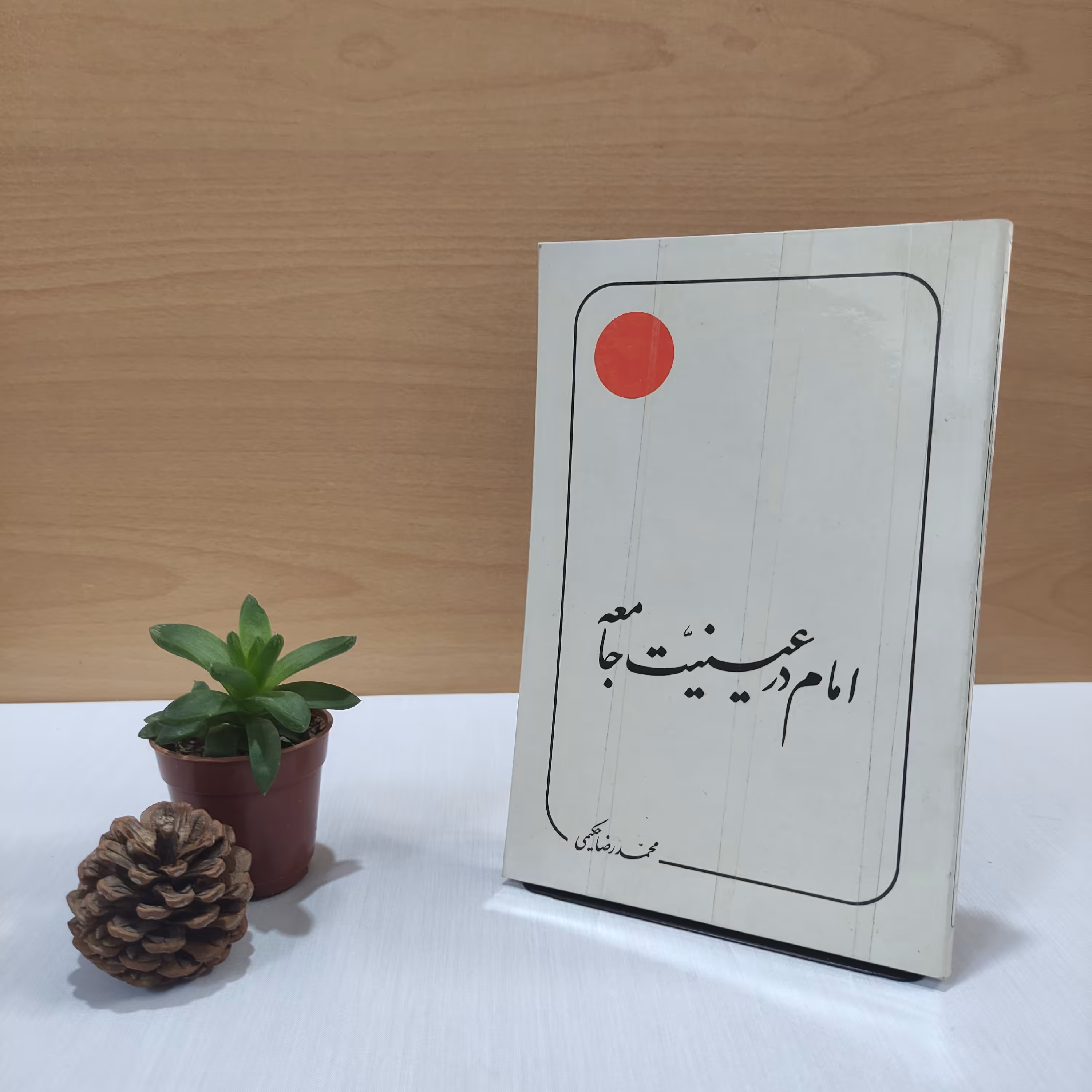 کتاب امام در عینیت جامعه