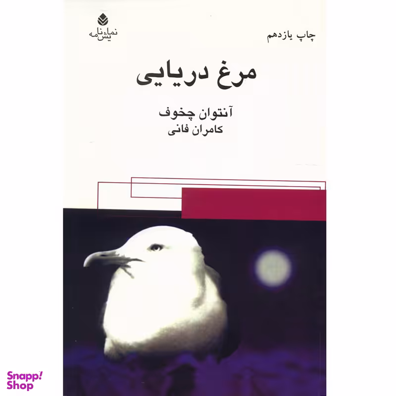 کتاب مرغ دریایی اثر آنتوان چخوف نشر قطره