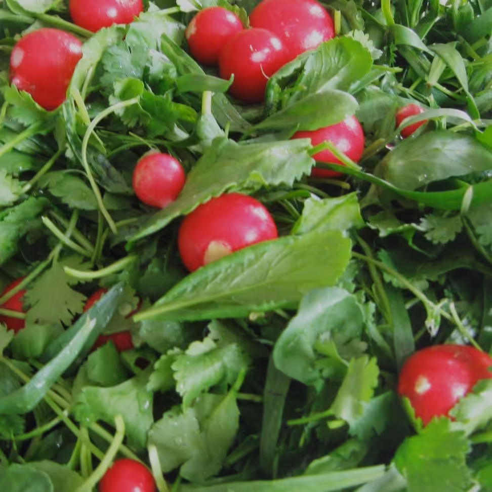 سبزی پاک شده