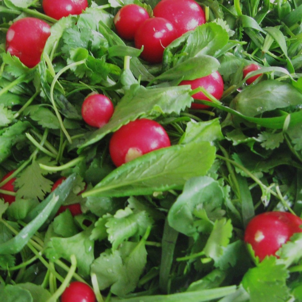 سبزی پاک شده
