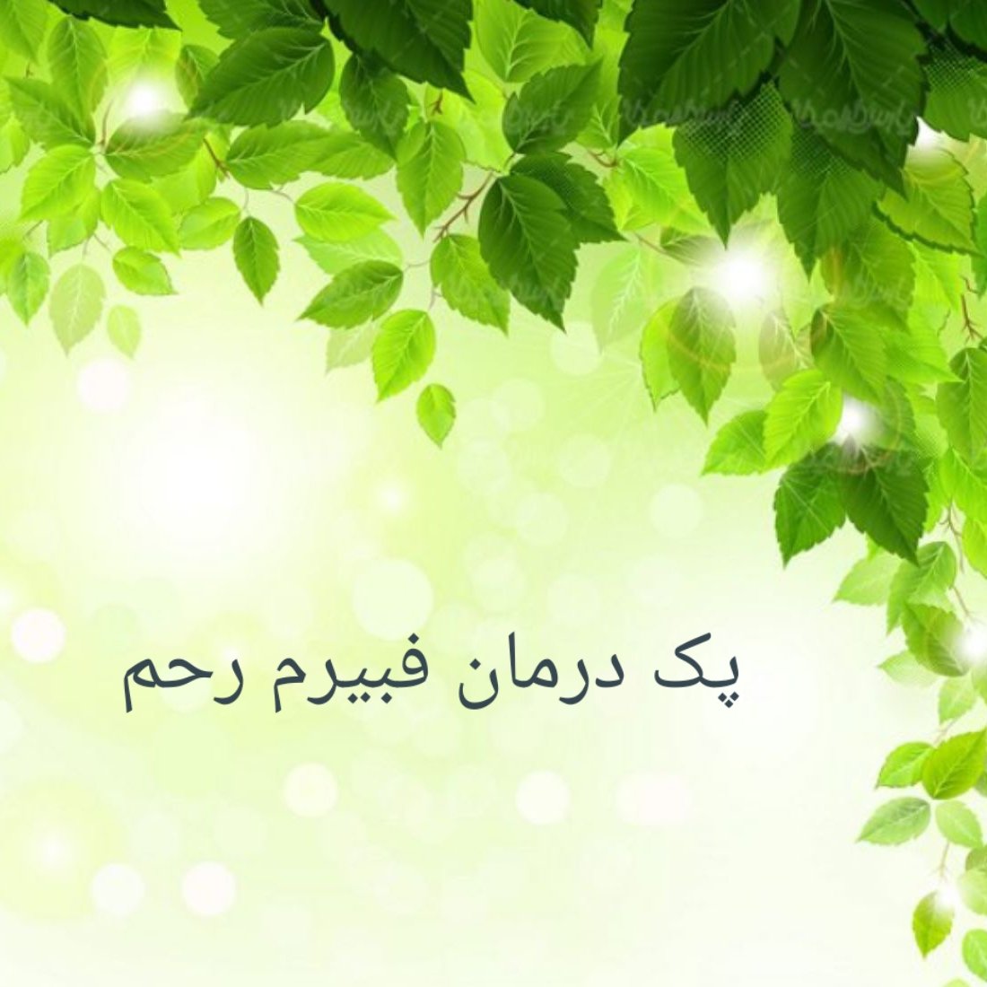 فیبرم رحم