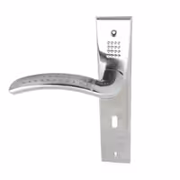 دستگیره کلیدی خال دار