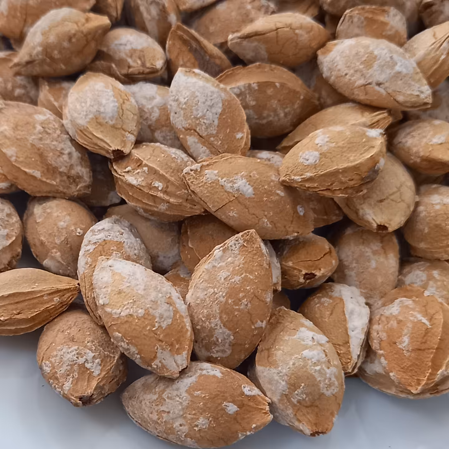 هسته زردآلو خندان و شور شده