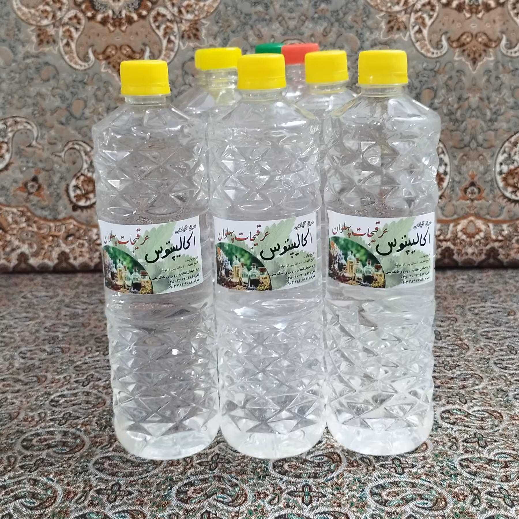 عرق اکالیپتوس