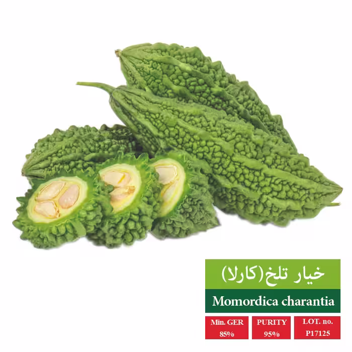 بذر خیار تلخ (کارلا) - بذر طلایی رویان