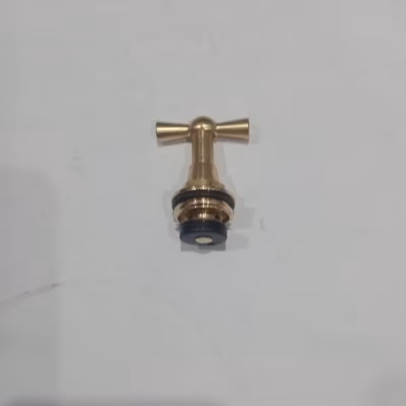 بالاتنه شیر حیاطی