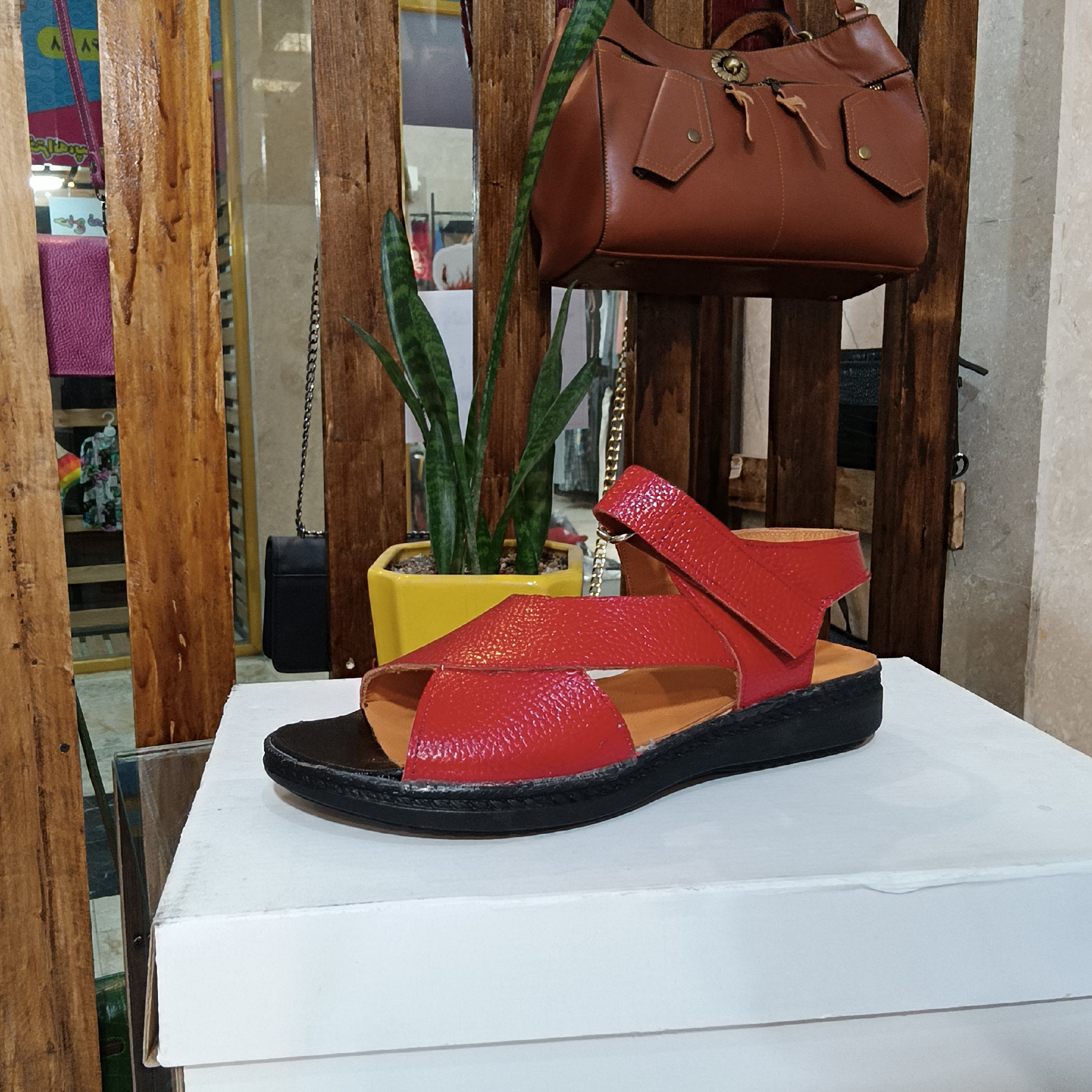 صندل را حتی زنانه