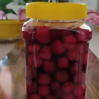 ترشی آلبالو 