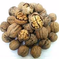 گردو ایرانی پوست کاغذی طیبه(500گرم)
