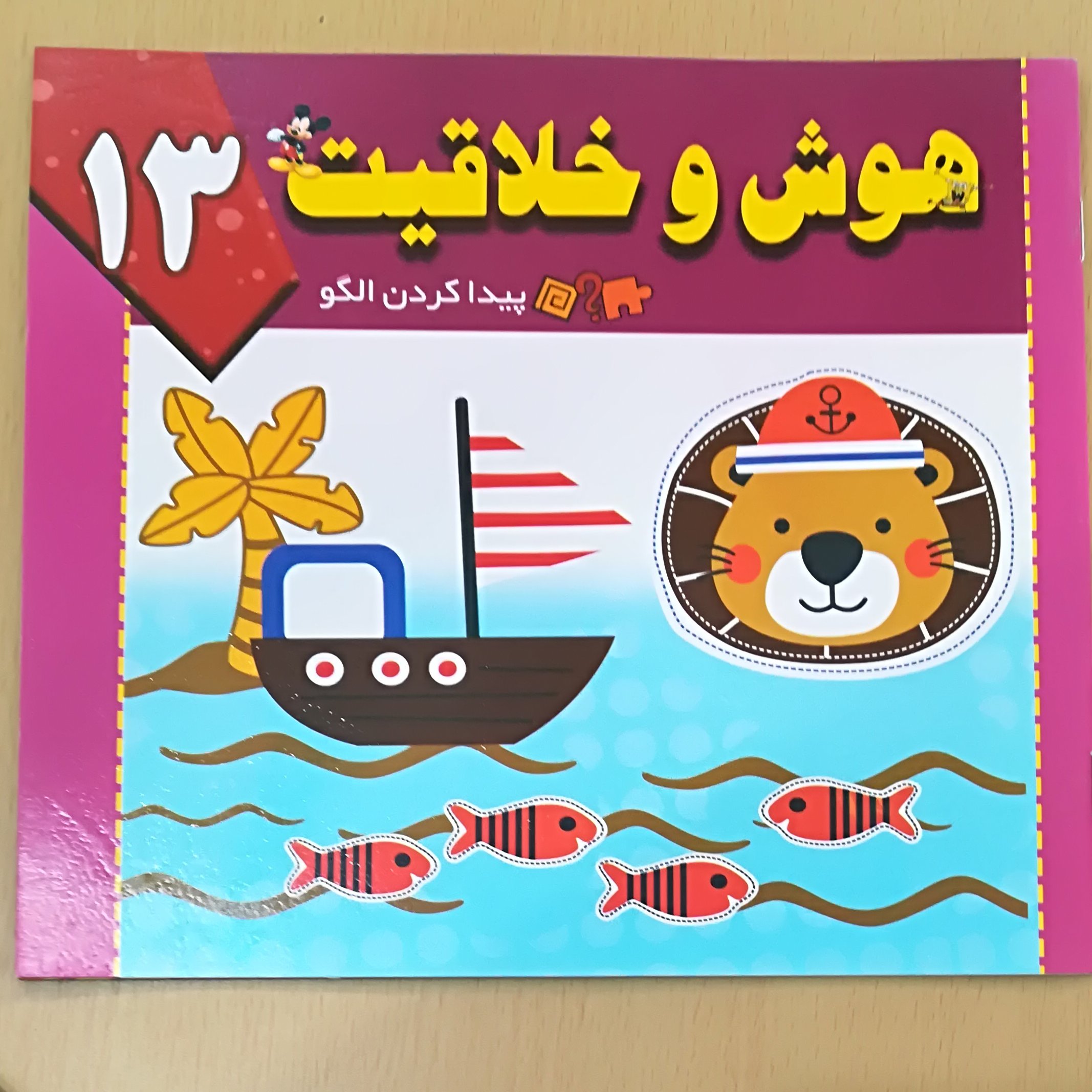 پیدا کردن الگو، هوش و خلاقیت جلد 13