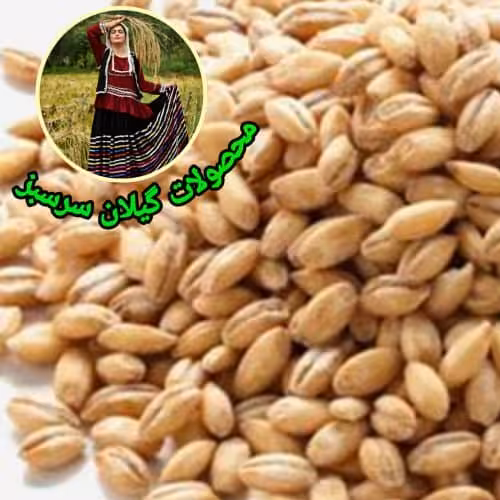 انواع حبوبات. جوپوست کنده