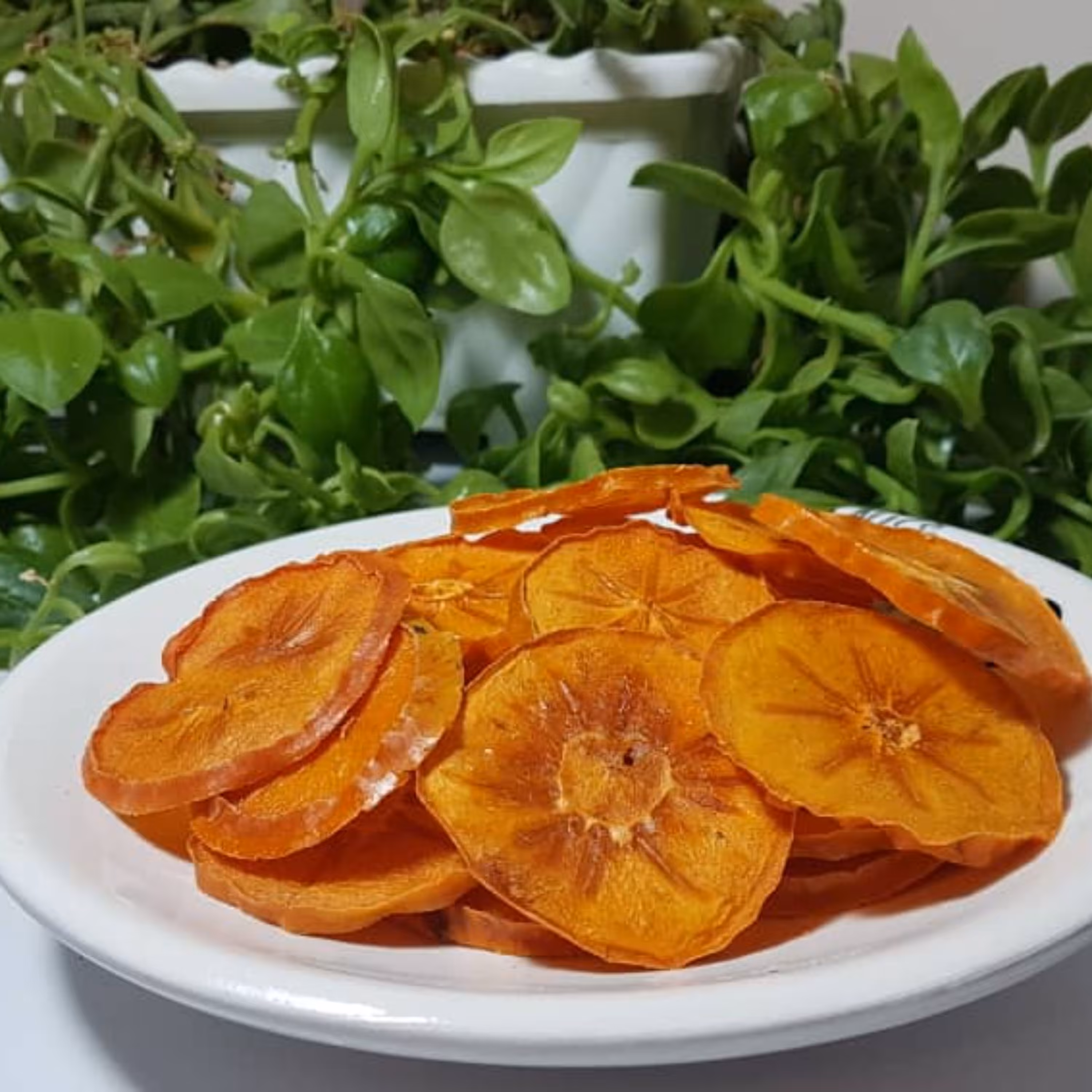 خرمالو خشک ( 500 گرمی )