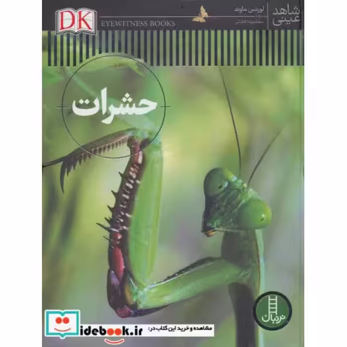 کتاب حشرات شاهد عینی نشر نردبان