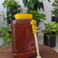 عسل گشنیزآبتین ارگانیک(یک کیلویی)