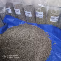 پخش تخمه آفتابگردان خارجی طعم سس رنچ نه کیلو و شیصد گرم