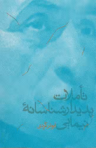 کتاب تاملات پدیدار شناسانه نیمایی