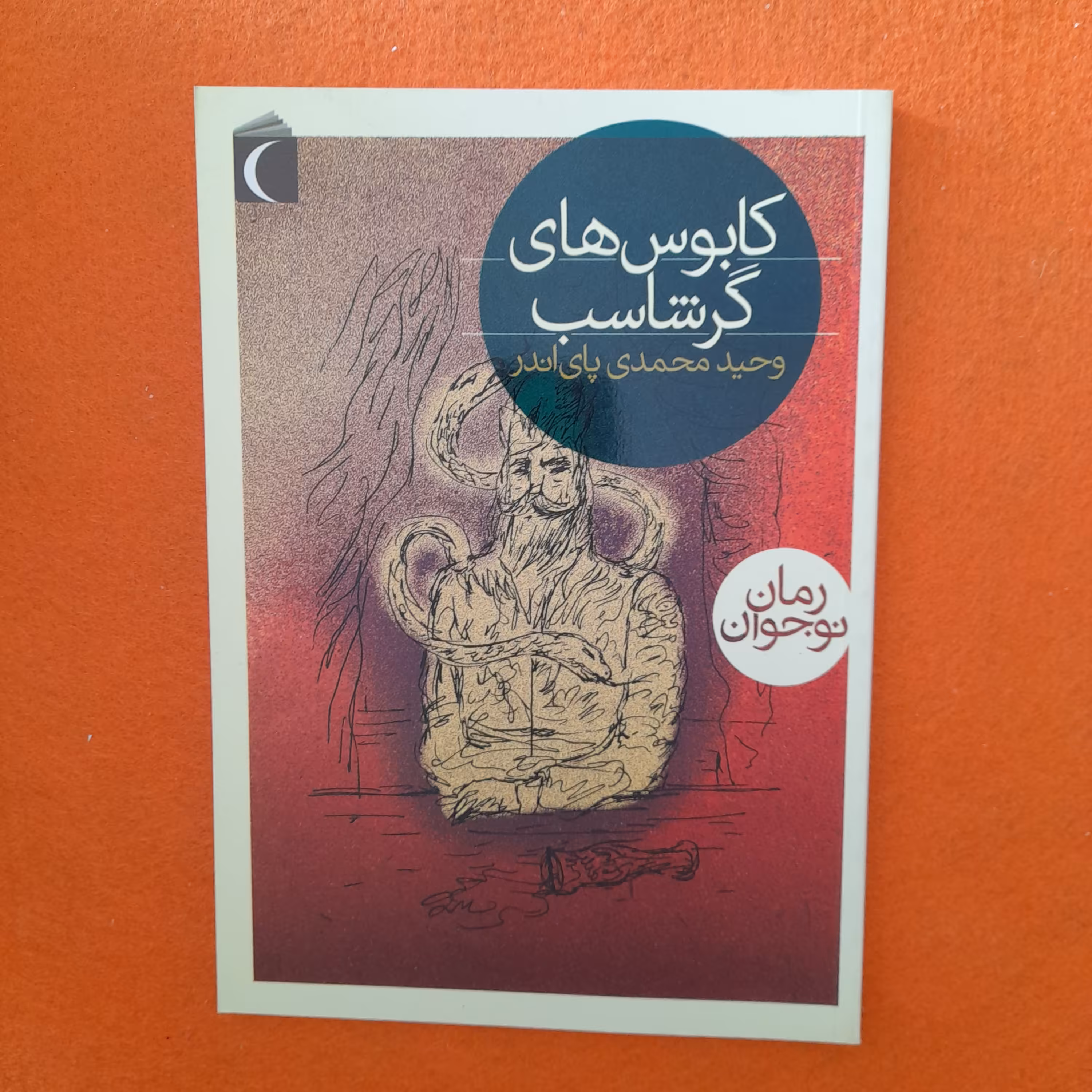 کتاب کابوس های گرشاسب،به قلم وحید محمدی پای اندر،انتشارات محراب قلم، رمان نوجوان 