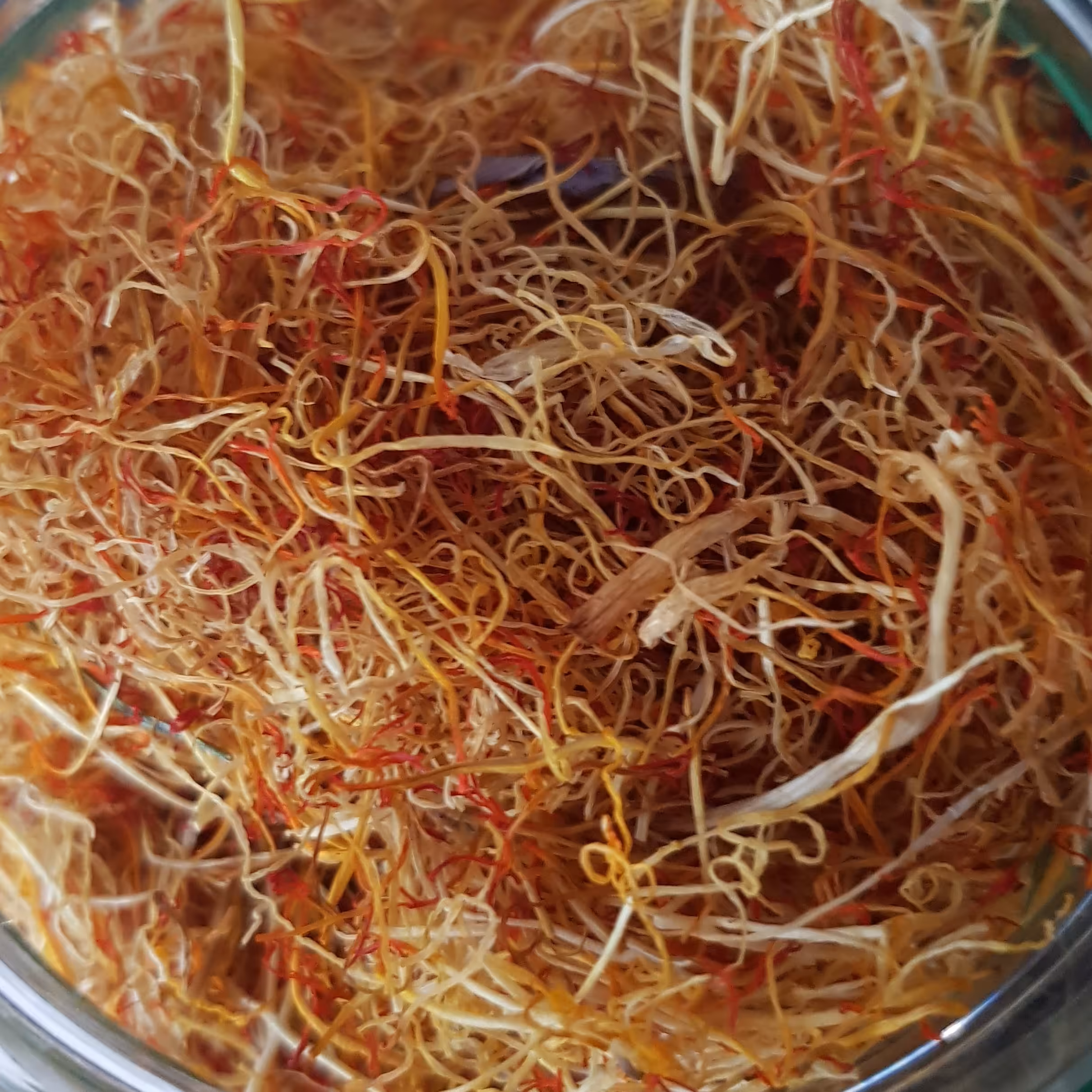 ریشه زعفران 5 گرمی