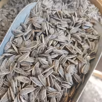 تخمه آفتابگردان خارجی طعم نمکی هشتصد گرمی