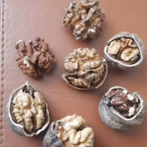 خشکبارنازگل
گردوی ممتازمناسب(1000)گرمی