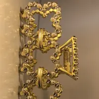 کلیپس زایا 