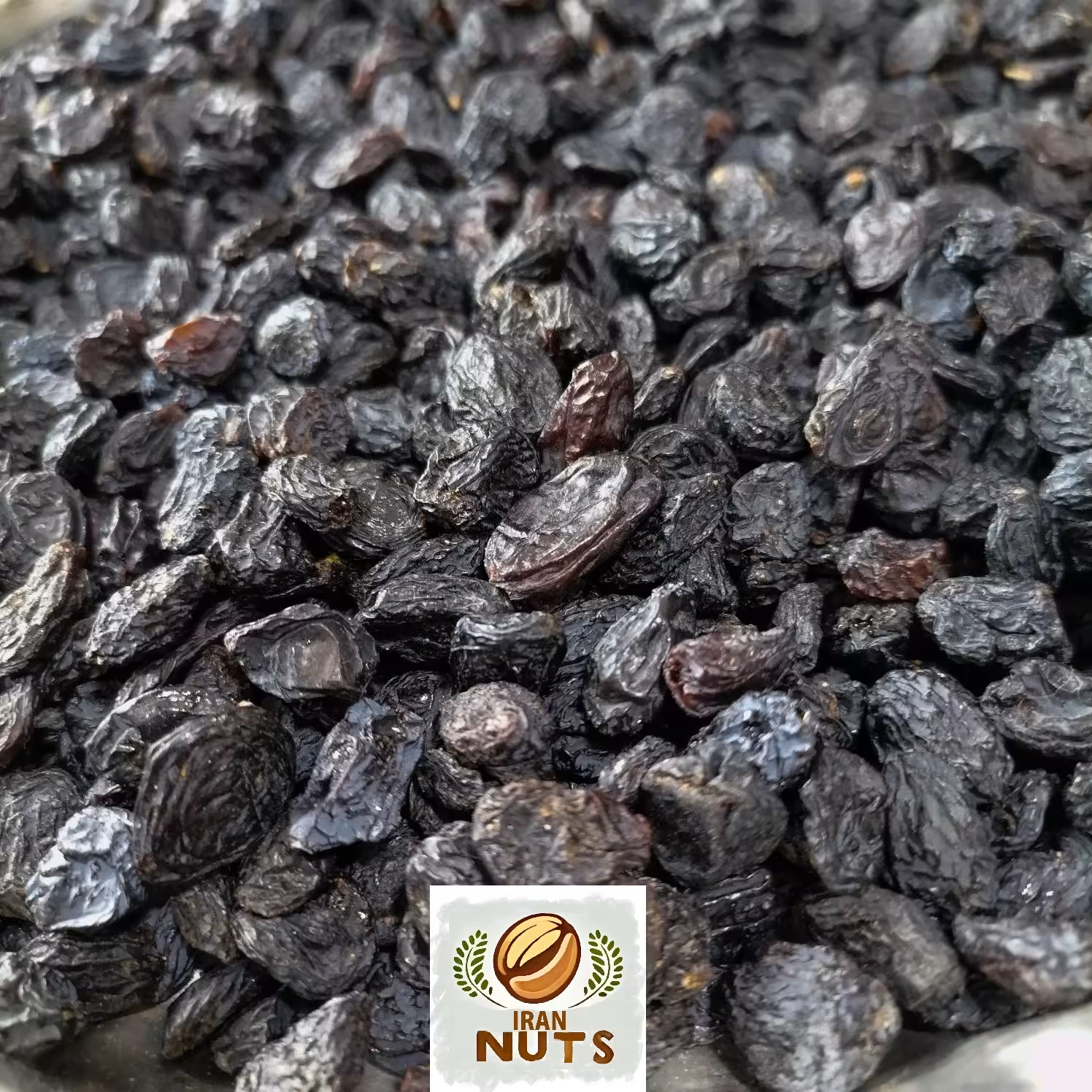 مویز بدون هسته اعلاء ( 900 گرمی ) - ارسال رایگان