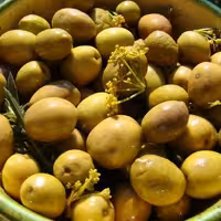 زیتون شورآنیمان