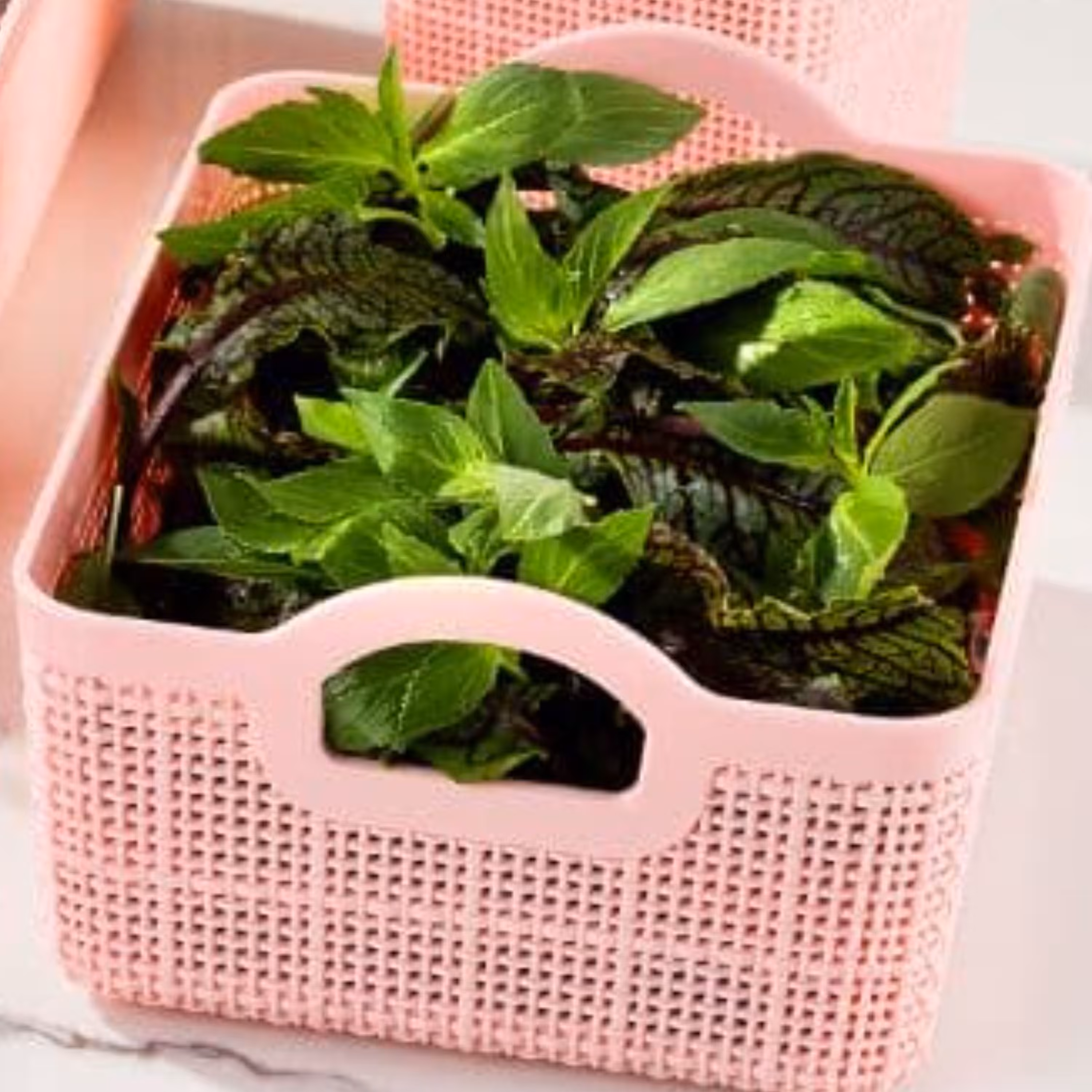 سبددسته دارمیلاسایز1محصول برندمعتبرهوم کت تهیه شده ازبهترین مواداولیه نظم دهنده