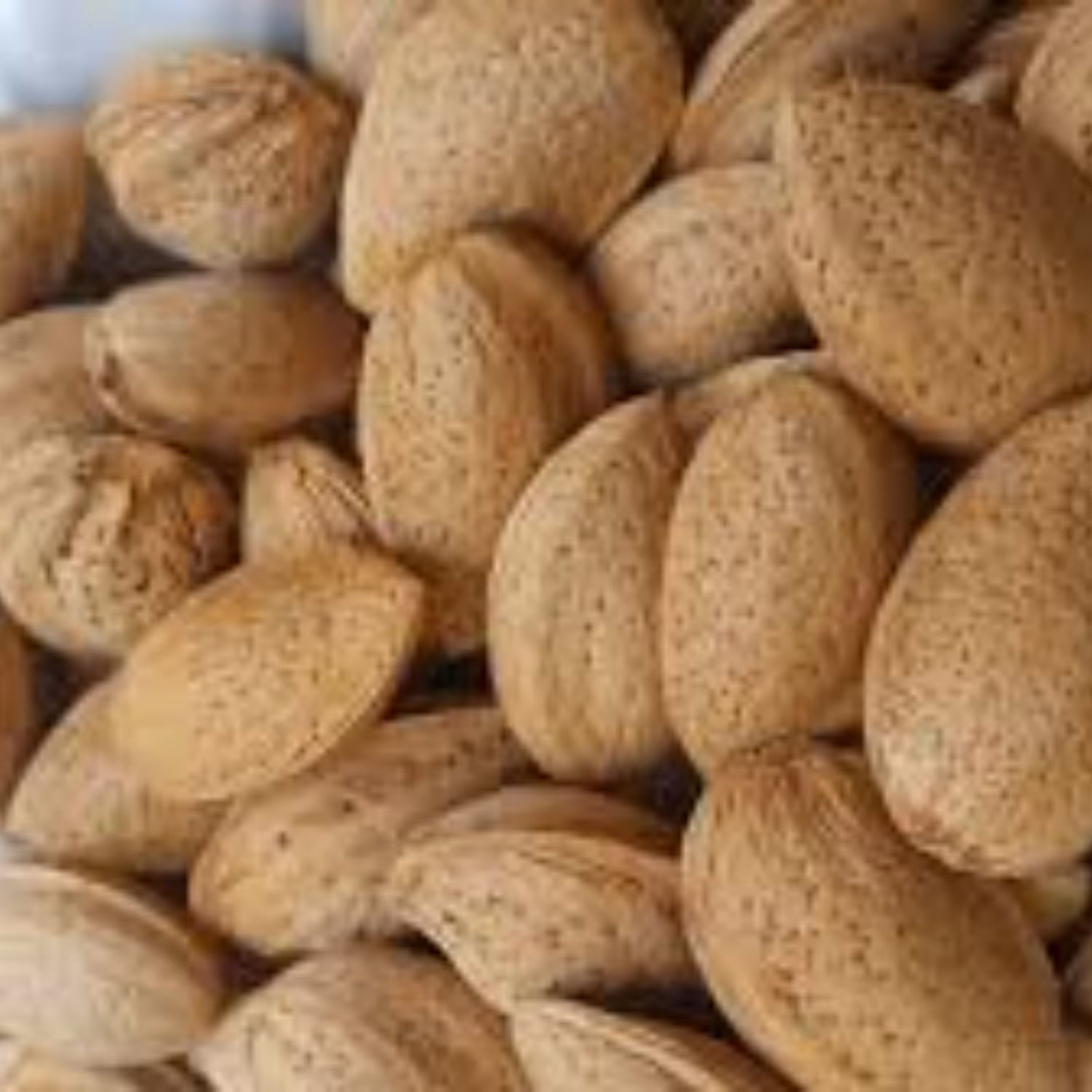 بادام سنگی 500 گرم