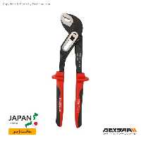 انبر کلاغی لایت مدل WP-250 سایز 10 اینچ