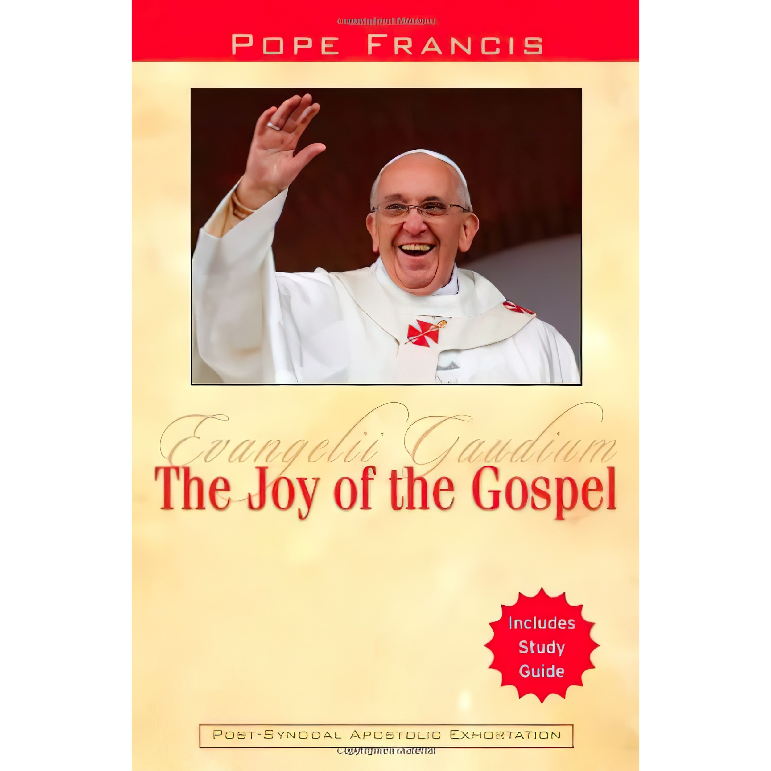 کتاب زبان اصلی The Joy of the Gospel اثر Pope Francis and Catholic Church