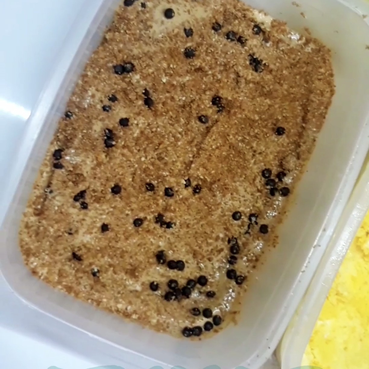 بستنی خونگی (لیتری ) 