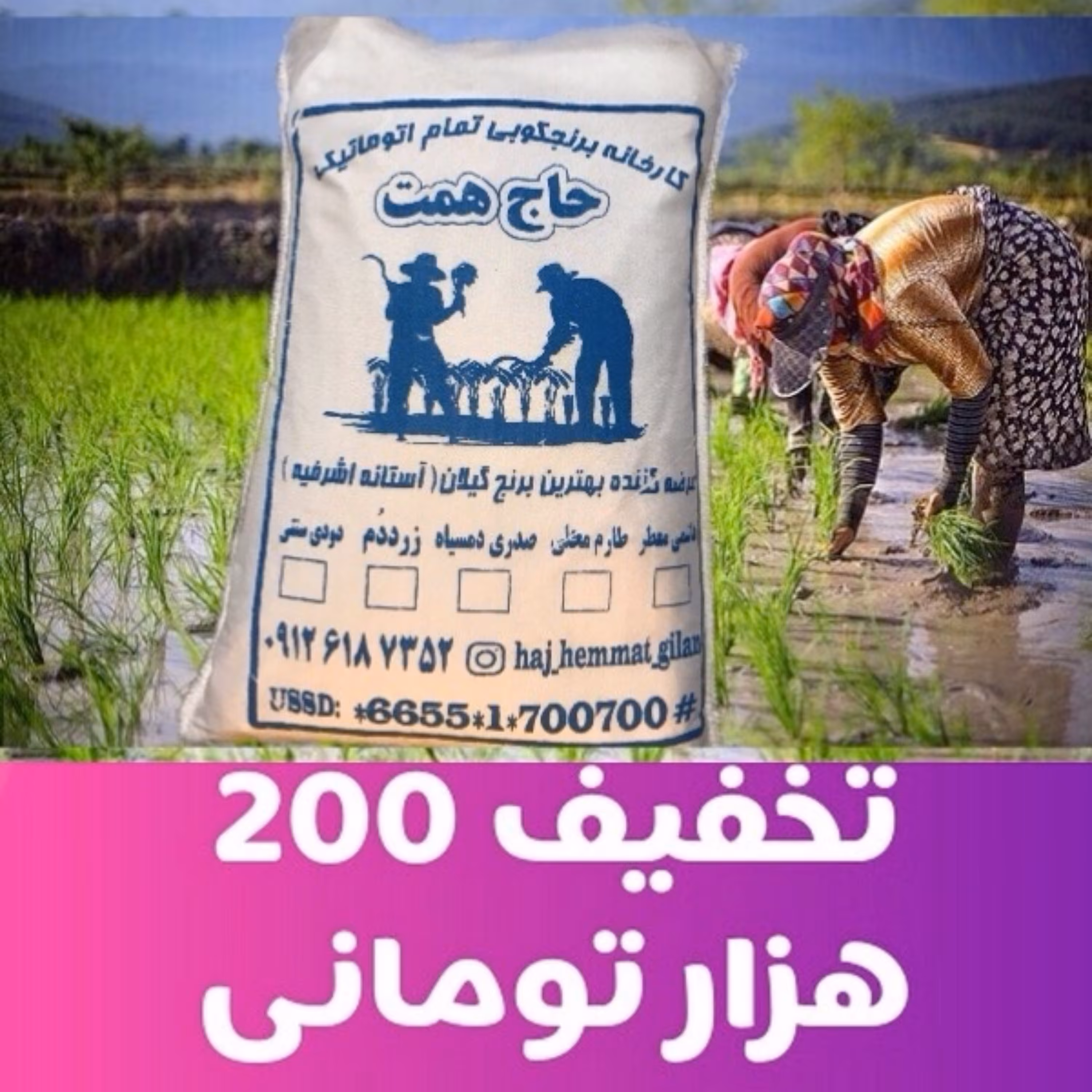 برنج سرلاشه معطر طارم هاشمی 60 کیلو (6کیسه10کیلویی)