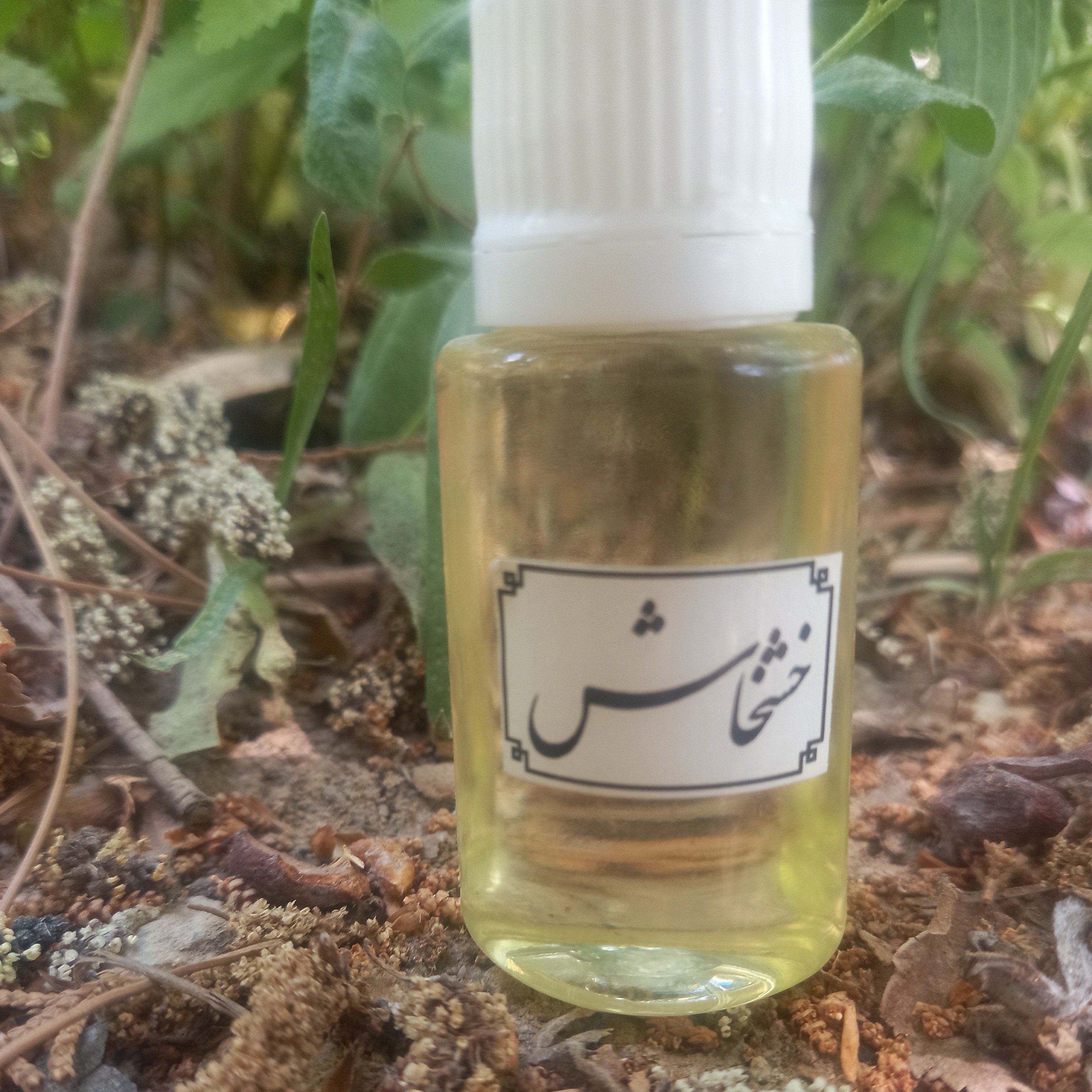 روغن خشخاش