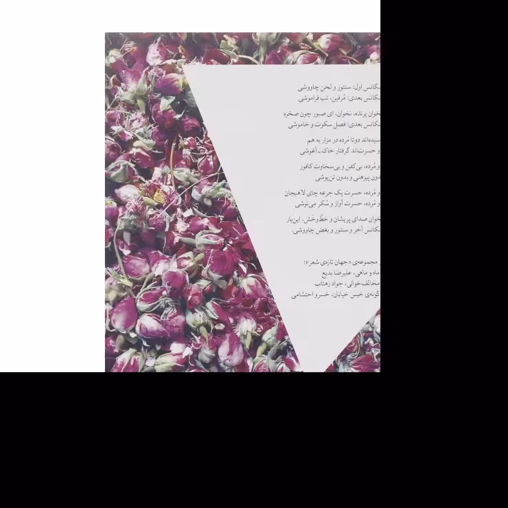 کتاب بغض چاووشی اثر هادی خورشاهیان نشر چشمه