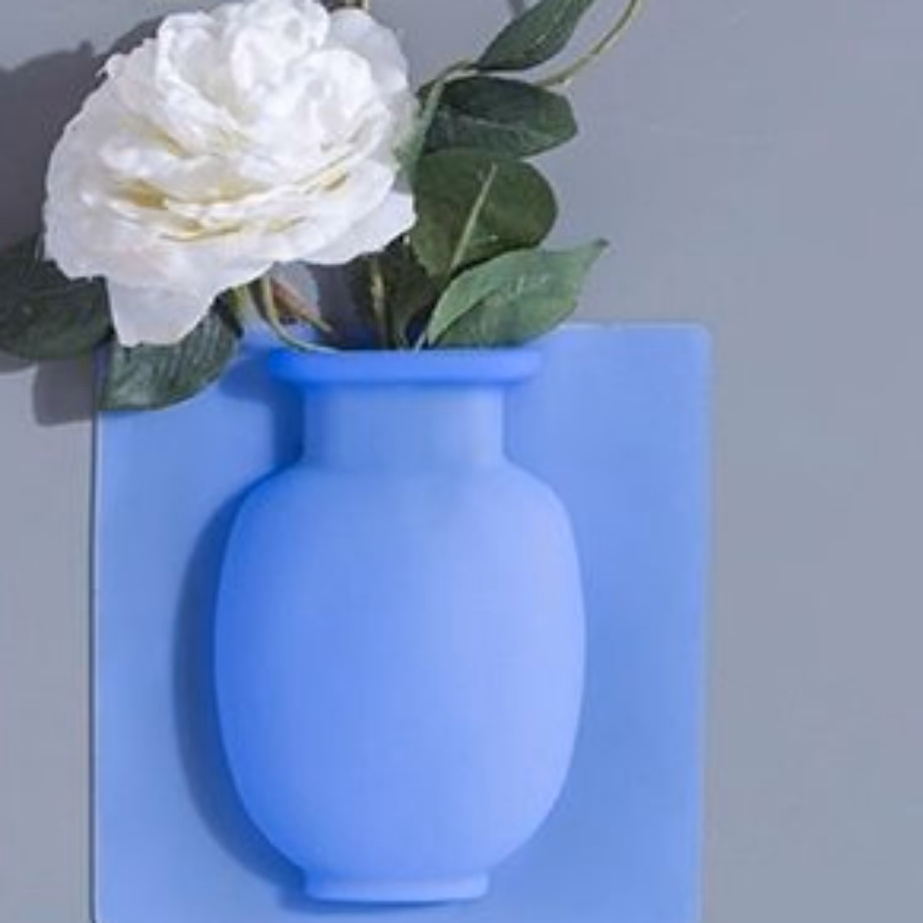 گلدان ژله ای تکی