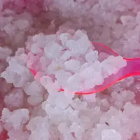 دانه کفیر آب فعال (واتر کفیر) 35 گرم  به همراه آموزش رایگان 