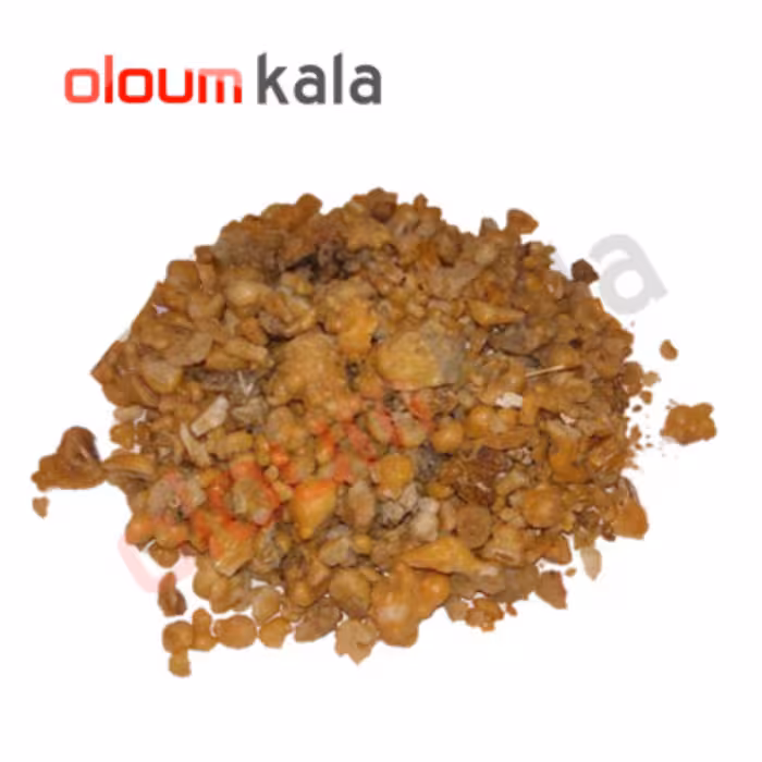 فاسوخ مغربی اصل  و با کیفیت (50گرمی)