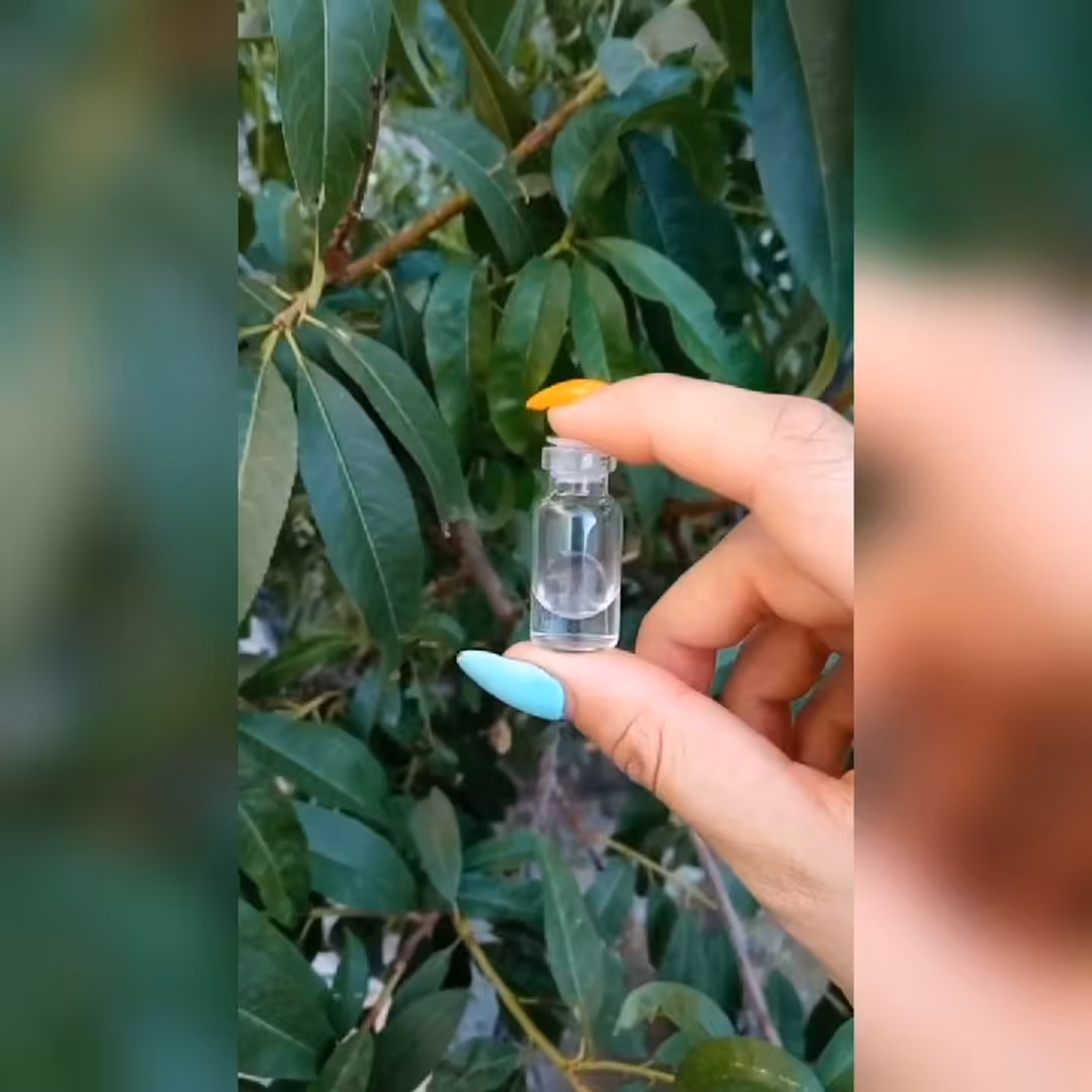 زگیل زیگیل برداشت زگیل در منزل به راحتی در منزل با غرفه عطاری آنلاین مشهد خال و میخچه و زگیل زیگیل 