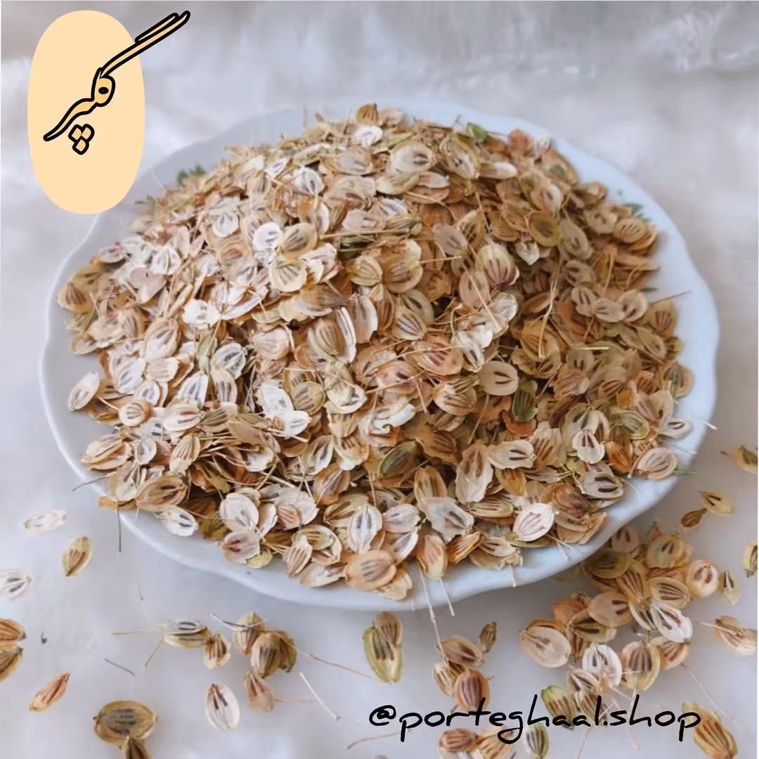 گلپر تازه فروشگاه آنلاین پرتقال (100گرم)