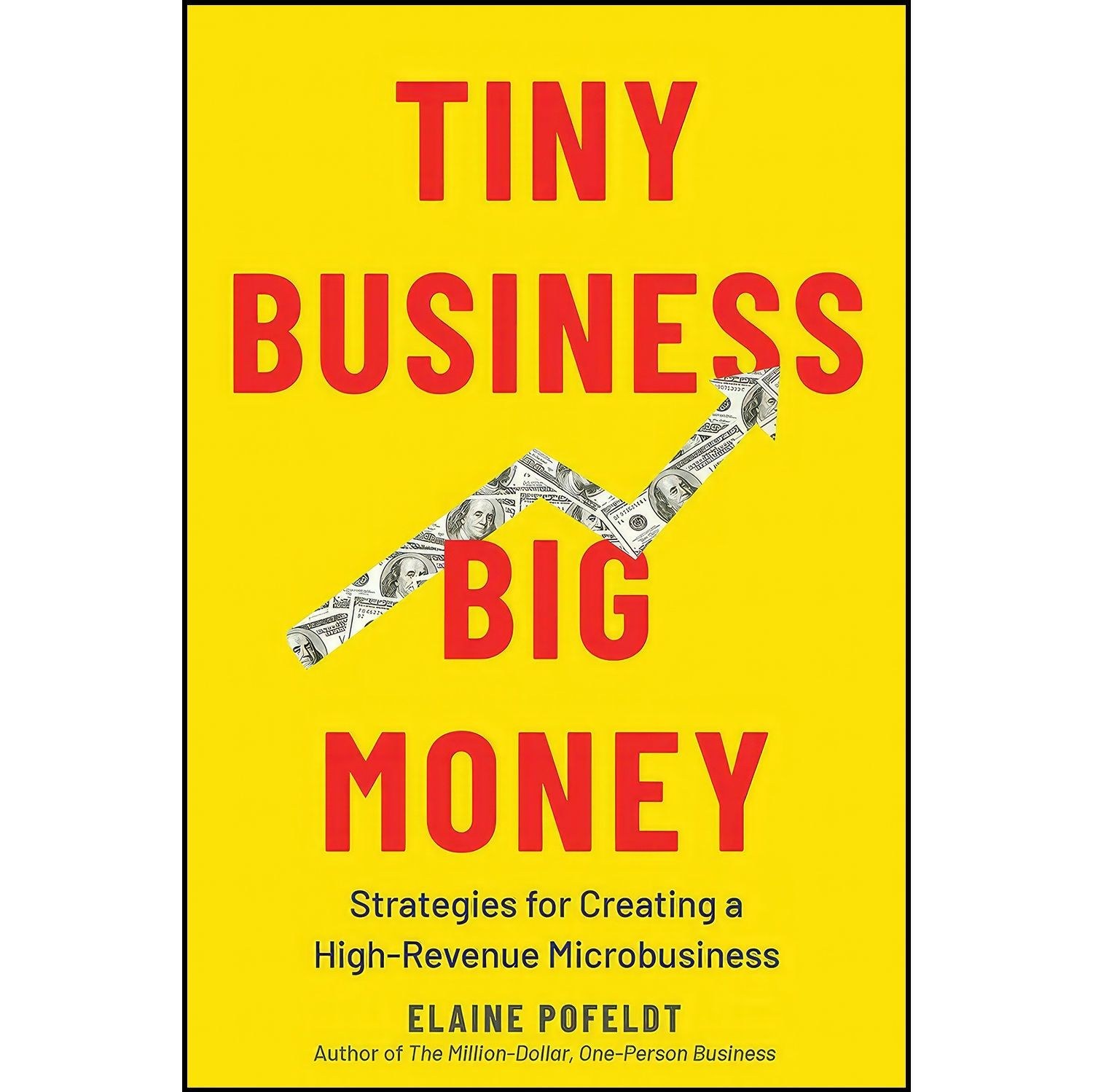 کتاب زبان اصلی Tiny Business Big Money اثر Elaine Pofeldt