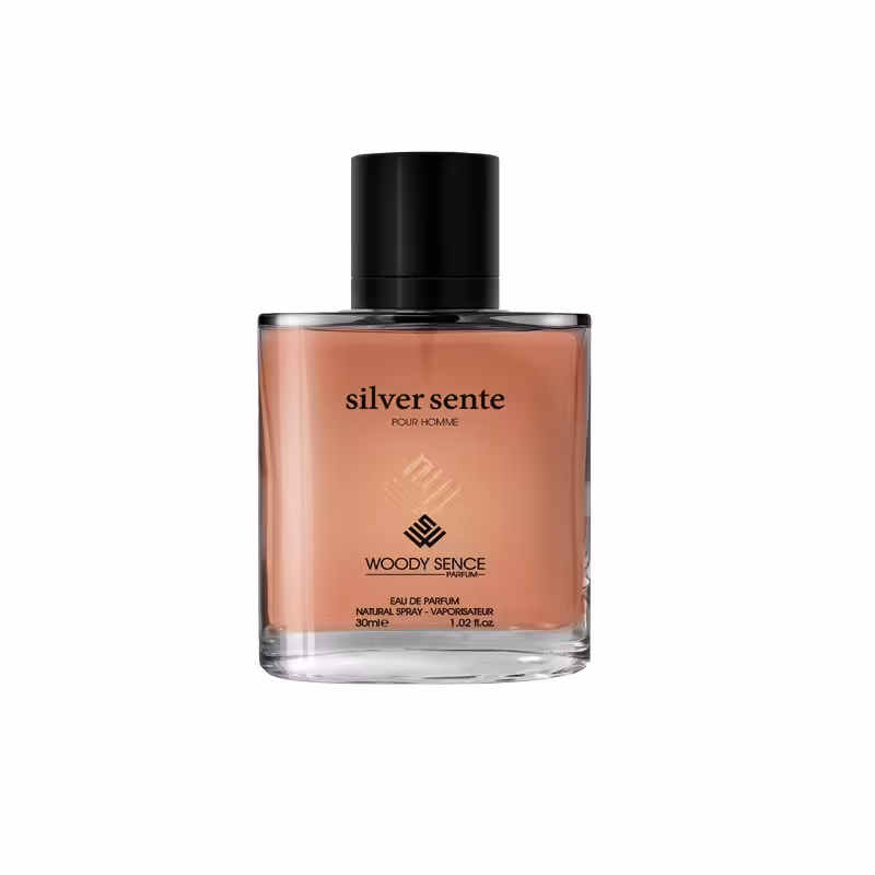 عطر جیبی مردانه وودی سنس مدل سیلور سنت Silver Sente 